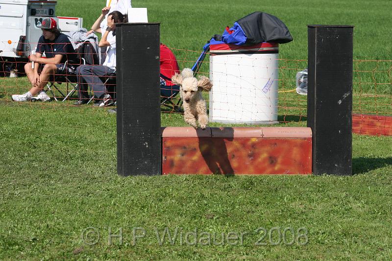 jubil.lusten. 216.jpg